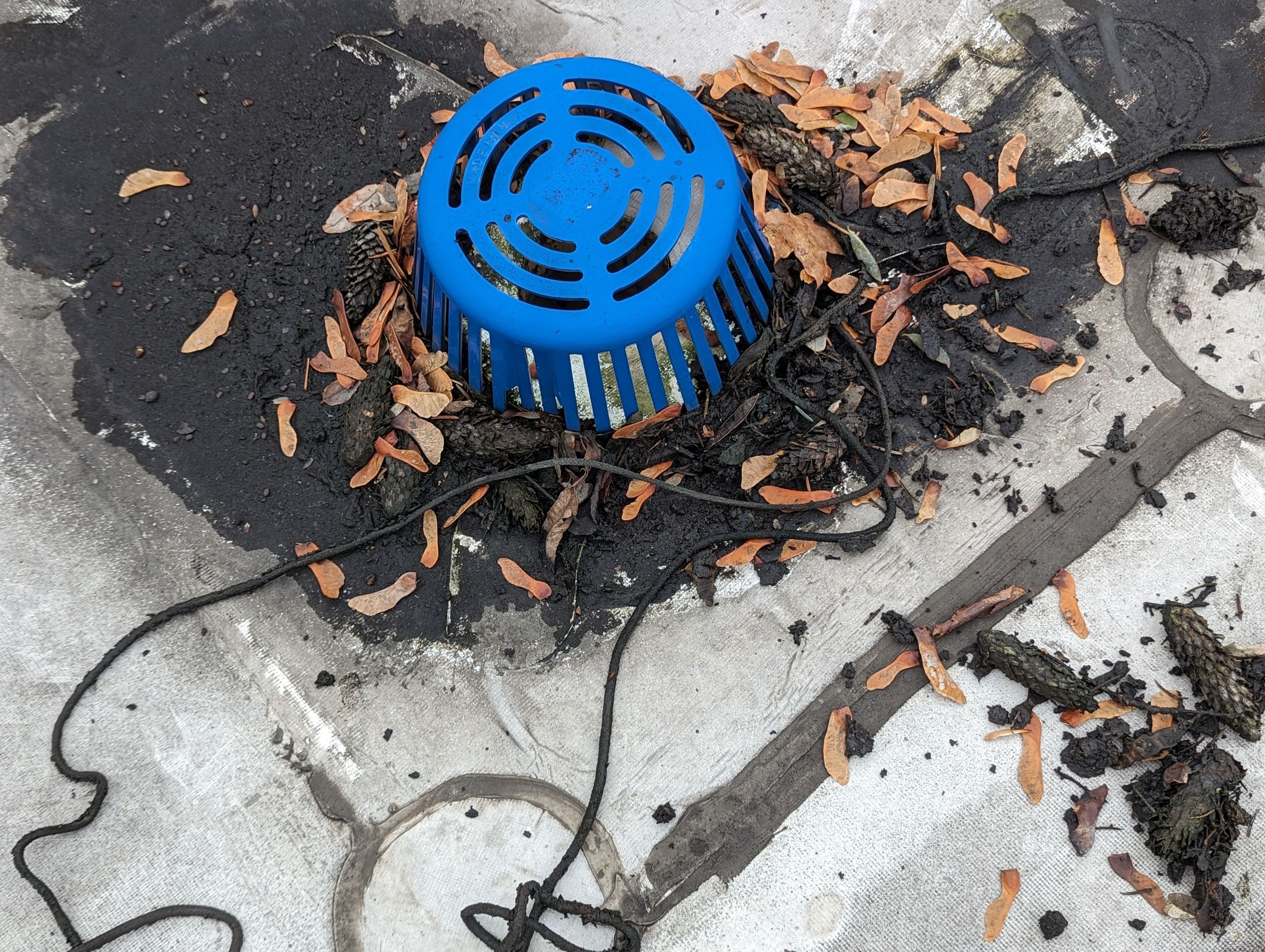 Roof Drain Maintenance