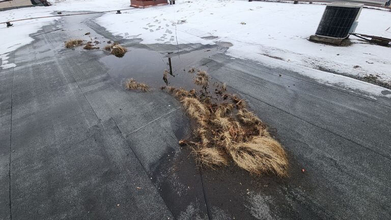 Roof Replacement in Petrolia, ON, captured on Jan 31, 2024 with CompanyCam.