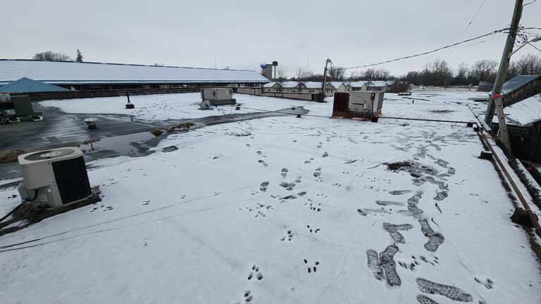 Roof Replacement in Petrolia, ON, captured on Jan 31, 2024 with CompanyCam.