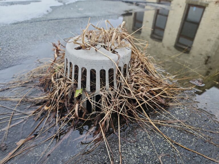 Roof Replacement in Petrolia, ON, captured on Jan 31, 2024 with CompanyCam.